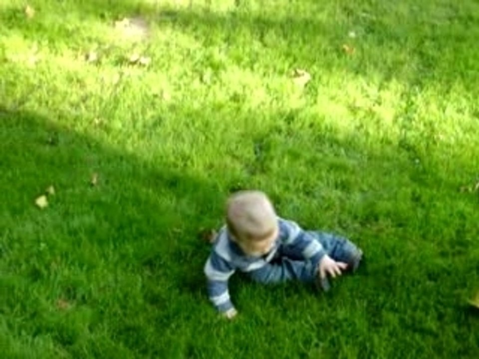 Ptit lou 084