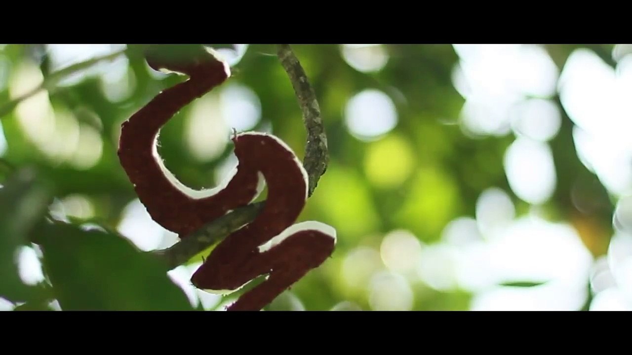 Video Klip Music bali EMONI - Made Cenik [Official Music Video]