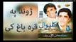 Zhwand Pa Qarabagh Ke - Bahram Jan & Gul Rauf  - Album Kaliwal