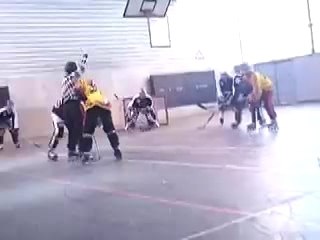 Roller hockey besançon