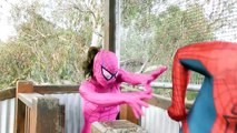 Spiderman Vs Spidergirl - Superhero Battle! w_ Hulk and Joker Superhero Time  part 3