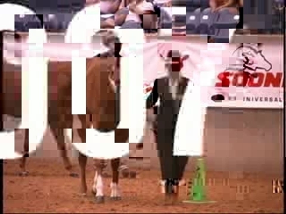 2007 AQHA BAYER SELECT WORLD CHAMPIONSHIP - 2-YEAR-OLD MARES