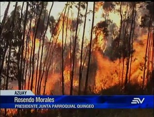 17 incendios forestales en centro del país en últimos días