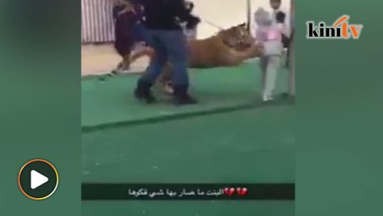 Video budak perempuan diserang harimau di tengah pasar