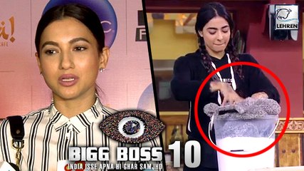 Gauhar Khan UPSET With Bigg Boss For Bani Destroying Her Gift?