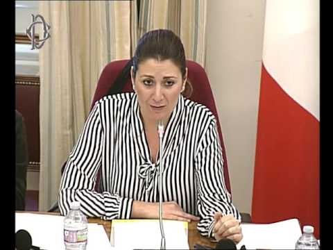 Roma - Tutela difensori diritti umani, audizione esperti (23.11.16)