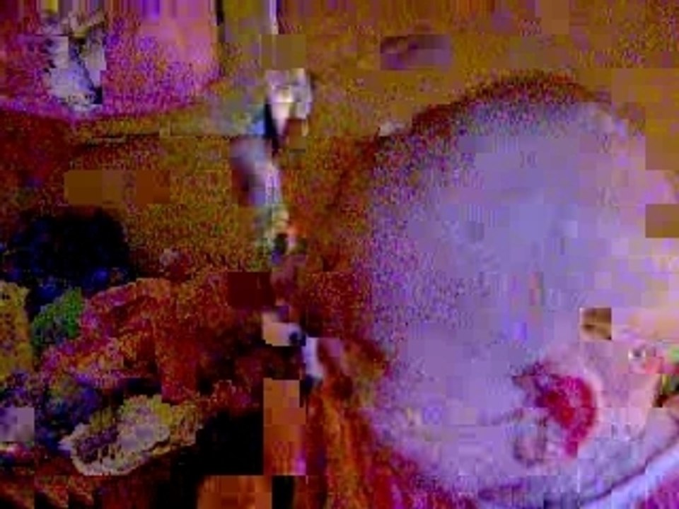 HPIM5092