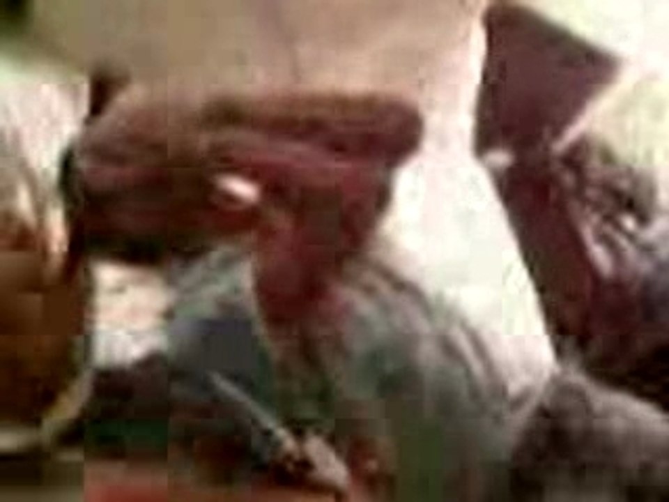 Les ballons de tel aviv .Mickael et rudy