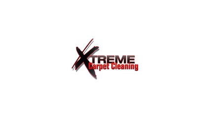 Pet Stain Removal Pocatello - Reasons To Hire A Professional For Pet Stains