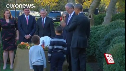 Obama ABD Başkanı olarak son kez iki hindiyi affetti