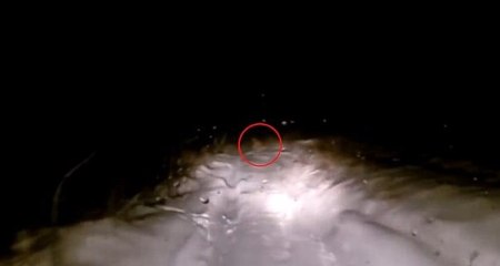 Russian Dashboard Camera Catches Footage Of A ‘Yeti’