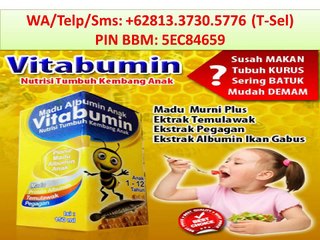 +62813.3730.5776 (T-Sel) Vitabumin Anak
