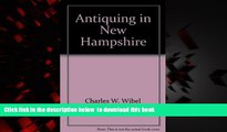 liberty book  Antiquing in New Hampshire: Seven Fabulous Weekend Shopping Tours (Descriptions of