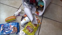 Bad Baby Kitty vs Puppy Gross Food Victoria & Annabelle Toy Freaks Hidden Egg-8d6LkLFJ-RI