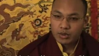 Words from the Karmapa