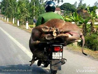 It Happens Only In India 2016 (Must Watch)