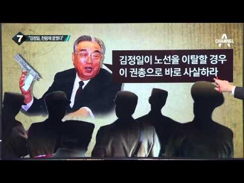 김정일, 北 3대 세습 끊어내려 했다?_채널A_뉴스TOP10