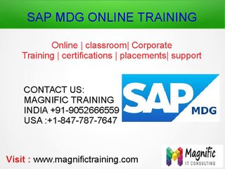 Sap Mdg Training Online