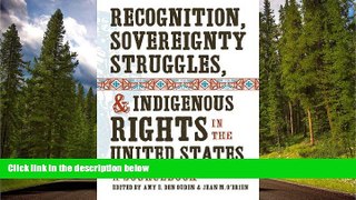 READ book  Recognition, Sovereignty Struggles, and Indigenous Rights in the United States: A