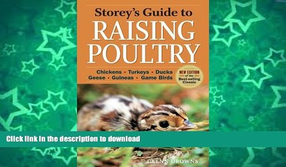 READ BOOK  Storey s Guide to Raising Poultry, 4th Edition: Chickens, Turkeys, Ducks, Geese,