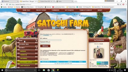 Dicas Essenciais para Aproveitar ao Máximo! 🚀