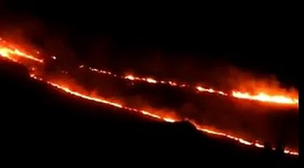 Израиль. Пожар около деревни Нахф вблизи Кармиэль