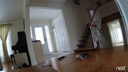 Suicide d'un aspirateur Roomba!