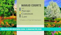Best books  Navajo Courts and Navajo Common Law: A Tradition of Tribal Self-Governance (Indigenous