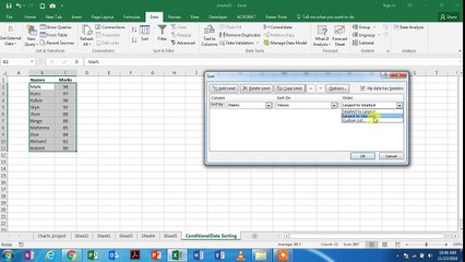 Data Sorting & Conditional Formatting
