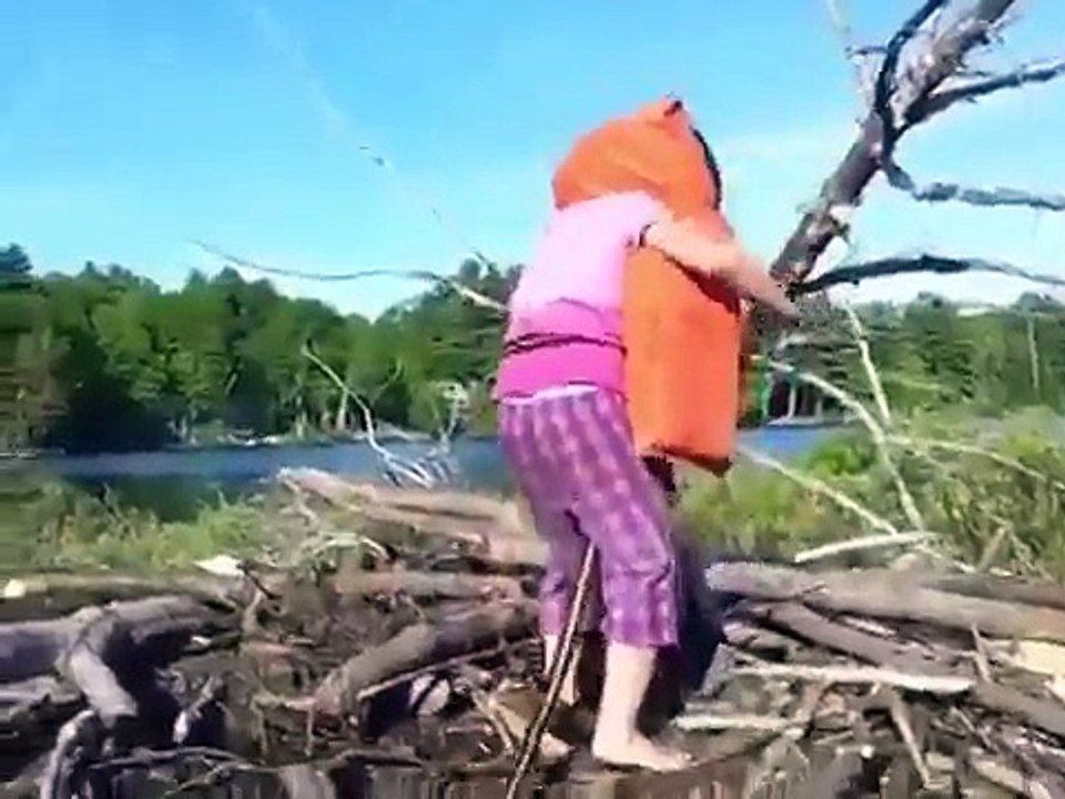 Папа, папа! Смотри, что я нашла. Очень смелая девочка. Смотрите