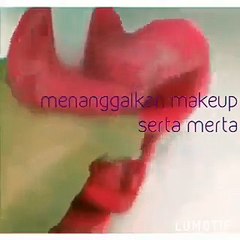 Makeup Eraser