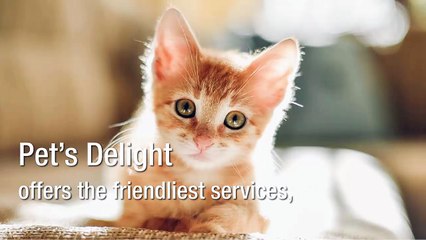 Why Opt For Vet Recommended Pet Products Today