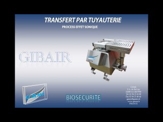 FILM GIBAIR transfert par tuyauterie POULETS 09-2016