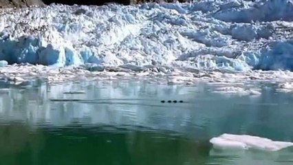 Phát hiện rồng nước bay lượn trên sông băng Alaska