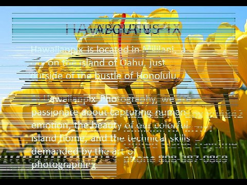 HAWAIIAN PIX - Hawaii Professional Photographers(1)