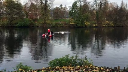 Cognac : les pompiers remorquent une voiture tombée dans la Charente