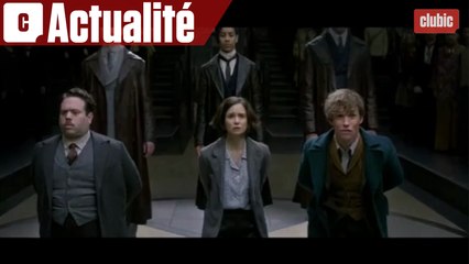 [News Cinema] Les Animaux Fantastiques : Scènes coupées et scénario du prochain opus !