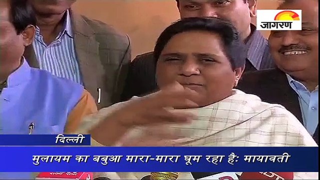 मुलायम का बबुआ मारा-मारा घूम रहा हैः मायावती