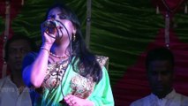 Onek Sadhonar Pore - Bengali Movie Song Cover by Dina closeup1