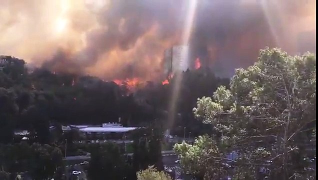 Израиль - пожар в Хайфе прямо сейчас