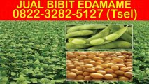 0822-3282-5127 (Tsel), Jual Bibit Edamame