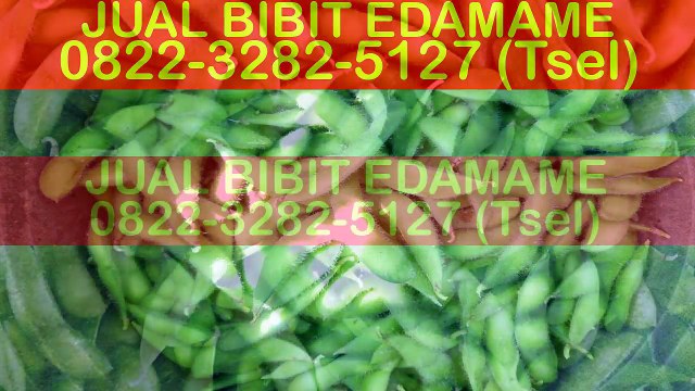 0822-3282-5127 (Tsel), Penjual Bibit Edamame