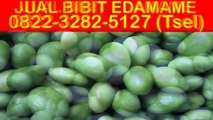 0822-3282-5127 (Tsel) Beli Bibit Edamame