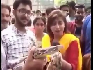 Pakistani Reporter Abusing on LIVE TV   funny News bloopers