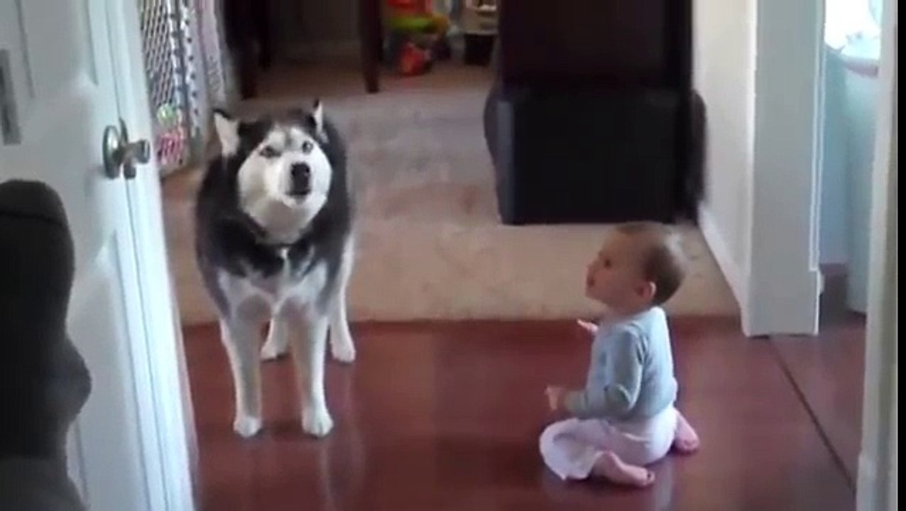 Mom Caught Her Baby Talking To The Dog. Their Conversation? Unbelievable.