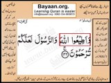 Quran in urdu Surah 003 Ayat 132 Learn Quran translation in Urdu Easy Quran Learning
