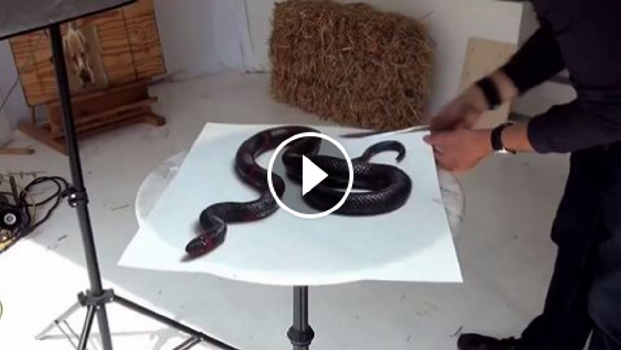 WOW snake Art