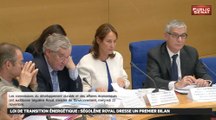 Auditions de Ségolène Royal puis de Gérard Mestrallet - Les matins du Sénat (24/11/2016)