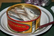 Surströmming challenge