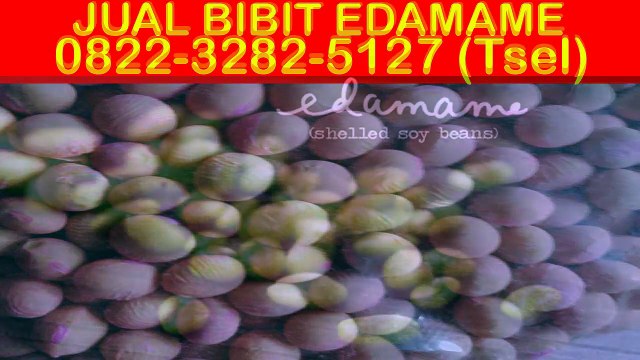 0822-3282-5127 (Tsel), Jual Benih Kacang Edamame